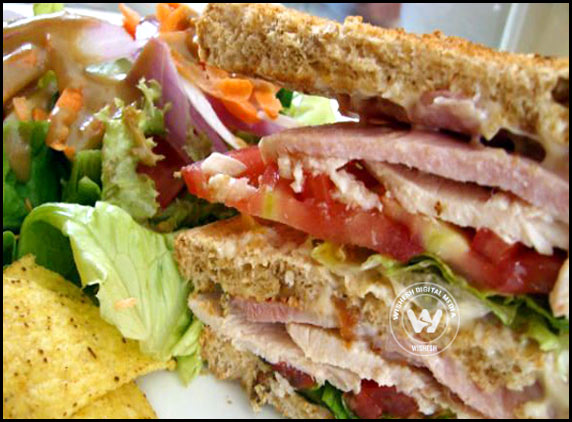 Worm sandwich served to Air India passenger