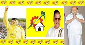 separate Telangana in Parliament, Telangana Telugu Desam Party Forum leaders,TDP president N Chandrababu Naidu