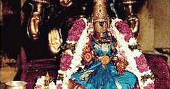 Srirangam mutt at Tirumala completed 