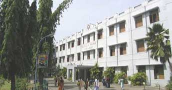 StellaCollege