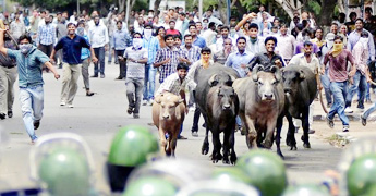 telangana