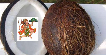 Lord Hanuman in coconut Lord Hanuman in coconut