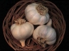 heart, Garlic, keep your heart safe use garlic, Garlic