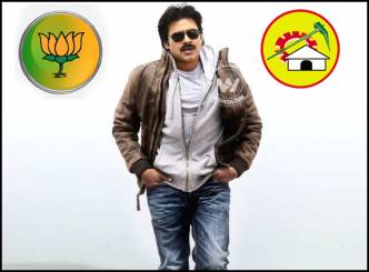 Pawan and Manifesto crucial in Seemandhra