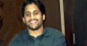 Naga Chaitanya, Naga Chaitanya, interview with naga chaitanya, Bejawada