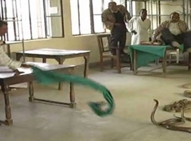 Snake charmer releases venomous lot in govt office, frustration to bureaucracy demands