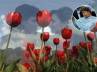 Kashmir, shooting films, bollywood s attention turns towards kashmir, Tulip gardens