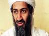 patwari, osama bin laden, corruption doesn t fear terrorism, Bin laden