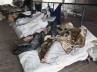 illegal Indian immigrants, London dreams, illegal indians in uk returning home, Savvy