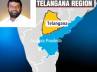 Telangana Territorial Administration, T JAC, telangana maha dharna on jan 24, Telanagana