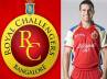 interim bail, Royal Challengers Bangalore, rcb player gets bail, Sidharth