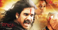 S.S. Rajamouli, Raajanna movie, raajanna review, Event gallery