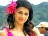 shraddha das wallpapers, shraddha das, shraddha das s reentry with rei, Actress shraddha das