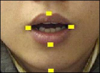 Lip movements as your new password