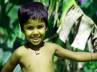 popularity, Blissful, modernism is hampering the childhood at age 12, Bliss