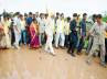 jr ntr, Vastunna mee kosam, naidu saviour of masses vastunna mee kosam day 07, Gandhi jayanti