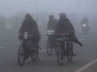 cold wave in North India, cold wave in North India, cold wave kills 140 in north india, North india