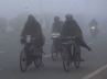 Cold wave kills, cold wave in North India, cold wave kills 140 in north india, North india