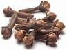chinese medicine, toothache, clove it s tiny but powerful, Toothache