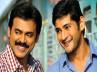 bollywood bol bacchan, seethamma vakitlo sirimalle chettu, venky s special interest on multi starrers, Seethamma vakitlo sirimalle chettu