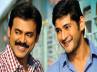 hero ram, shadow, venky s special interest on multi starrers, Svsc movie