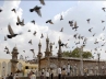 Babri Masjid demolition, Muharram, security beefed up in ap capital, Red alert