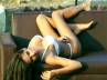 Pakistan, Poonam Pandey gifts raunchy pic, poonam pandey gifts raunchy pic to cricketer virat kohli, Asia cup match