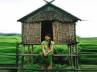 girls with multiple partners, love huts, huts of love, Cambodia