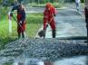 tonnes of fish, truck driver in Poland, doltish driver spills tons of pilchars onto road, Truck driver