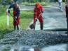 spills fish on road, tonnes of fish, doltish driver spills tons of pilchars onto road, Truck driver
