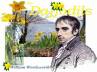 technology blog., william wordsworth, daffodils drives depression away, Flowers