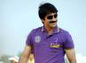 Ravi Teja search a heroine, Ravi Teja in Daruvu, no heroine for mass maharaaja, Daruvu