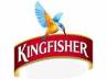vijay mallya, kingfisher employee protest, the king of bad times no recovery plan for kingfisher, Kingfisher airlines