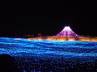 awesome pics, japan winter light festival, sparkling japan winter light festival, Awesome