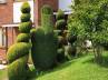 Jackson, middle finger giant bush, save the bush campaign to protect green finger, Gardener