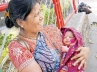 Babies sold out, sonawne, babies sold out racket in mumbai, Six day old male child