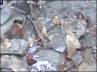six persons were killed, explosion in Allahabad, explosion kills 6 in allahabad, Garba