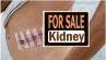 Guntur Kidney Mafia, Organ transplant tourism, guntur kidney mafia human rights commission asks police to investigare, Human rights