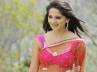 khaleja, ragada, meet the tough ladies of t town, Khaleja