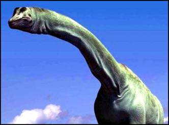 Long-necked plant feeding dinosaurs regrew teeth every 1 to 2 months