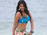 Bindu, Ajith, i am ready to act free of cost bindu madhavi, Madhavi