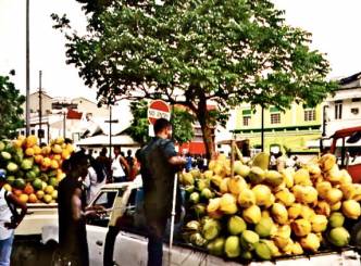 Tender coconut prices touch sky