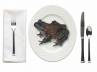 Frog in meals, Frog in meals, frog in student s noon meals 30 admitted ill, Students ill
