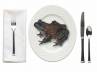 Students ill, Government school, frog in student s noon meals 30 admitted ill, Noon meals