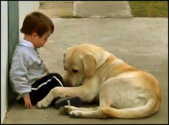 Big dog&#039;s loving gift to Down&#039;s Syndrome boy