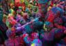 Celebrating Holi, Celebrating Holi, slideshow festival of colours emotions through photographs, Hinduism