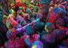 Hinduism, Hindu festivals, slideshow festival of colours emotions through photographs, Emotions