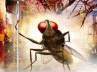 naan ee updates, science fiction, eega naan ee ready to fly high, Science fiction