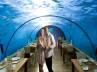 indian ocean, underwater restaurant, underwater wonder in maldives, Cuisine