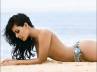 Nargis Fakhri, Hot Nargis Fakhri, hot nargis fakhri hotter romantic with shahid, Nargis fakhri pics